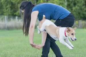 dog dancing 1