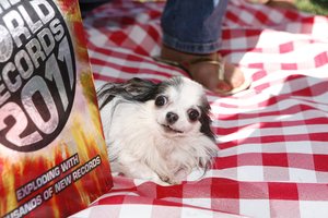 2020_08_gettyimages-104121929-scaled.jpg