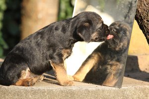 2020_08_gettyimages-472717464-scaled.jpg