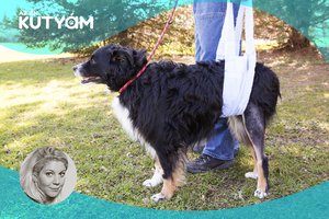 vd_05_21_1600