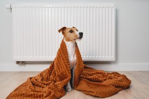 2022_09_radiator-futes-takaro-meleg-1024x683.jpg