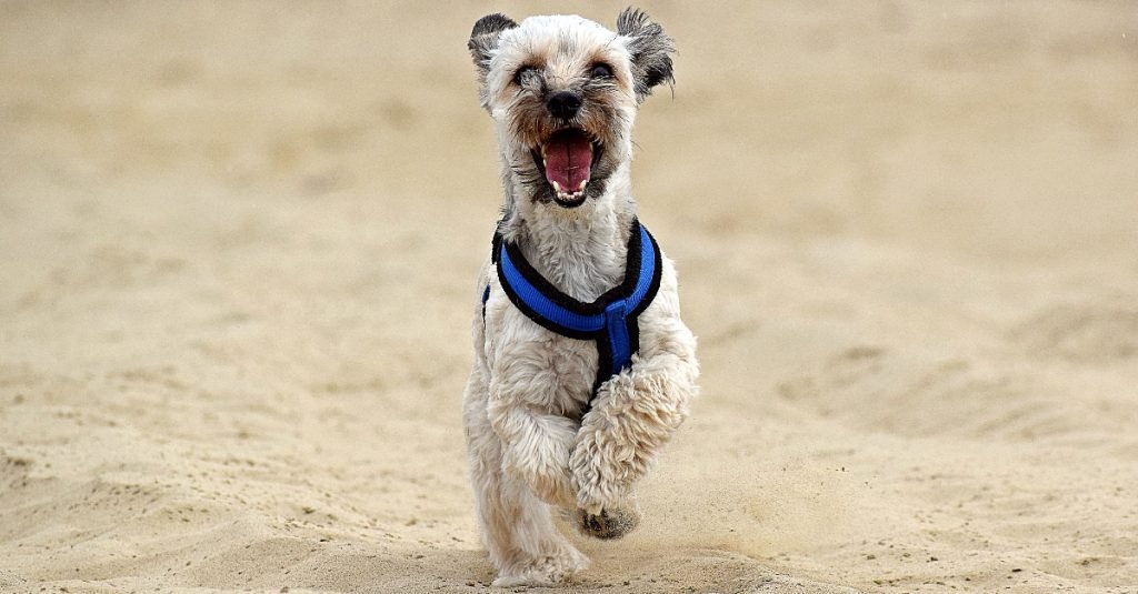 2024_01_boldog-fut-mosolyog-valoczi-fb-1024x535.jpg