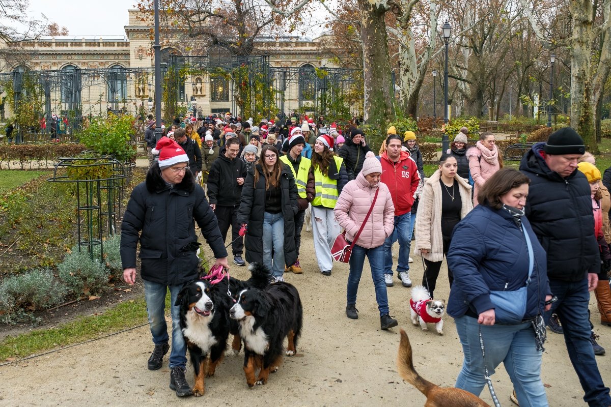DOGZ Mikulás Falkaséta