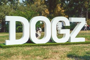 Dogz felirat