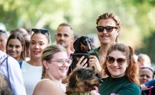 tacskó falkaséta dogz fesztivál 2024